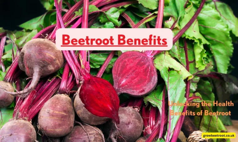Beetroot Benefits