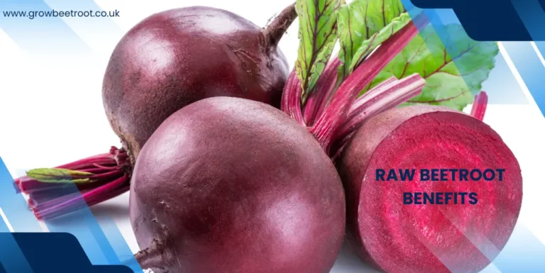Raw Beetroot Benefits