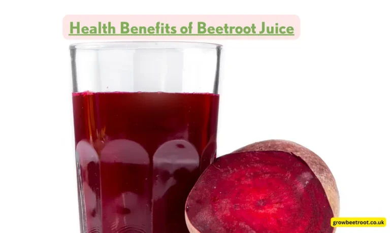 Benefits of Beetroot Juice